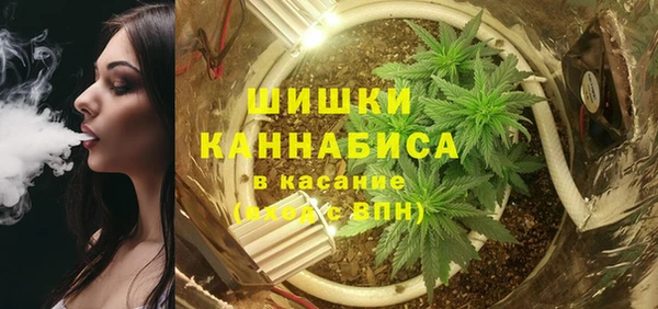 мет Арсеньев