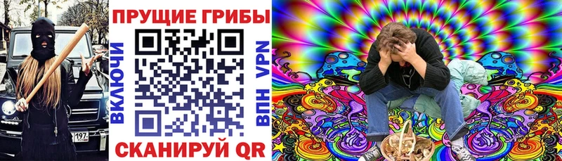 Галлюциногенные грибы GOLDEN TEACHER  закладка  Козьмодемьянск 